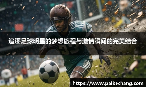 完美体育官网