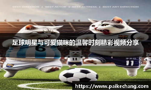 足球明星与可爱猫咪的温馨时刻精彩视频分享
