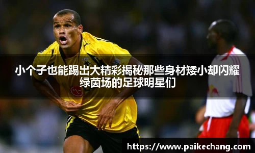 小个子也能踢出大精彩揭秘那些身材矮小却闪耀绿茵场的足球明星们