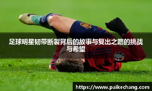 完美体育官网